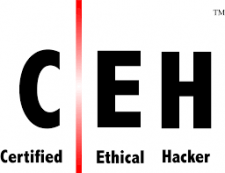 Certified Ethical Hacker (CEH V11)